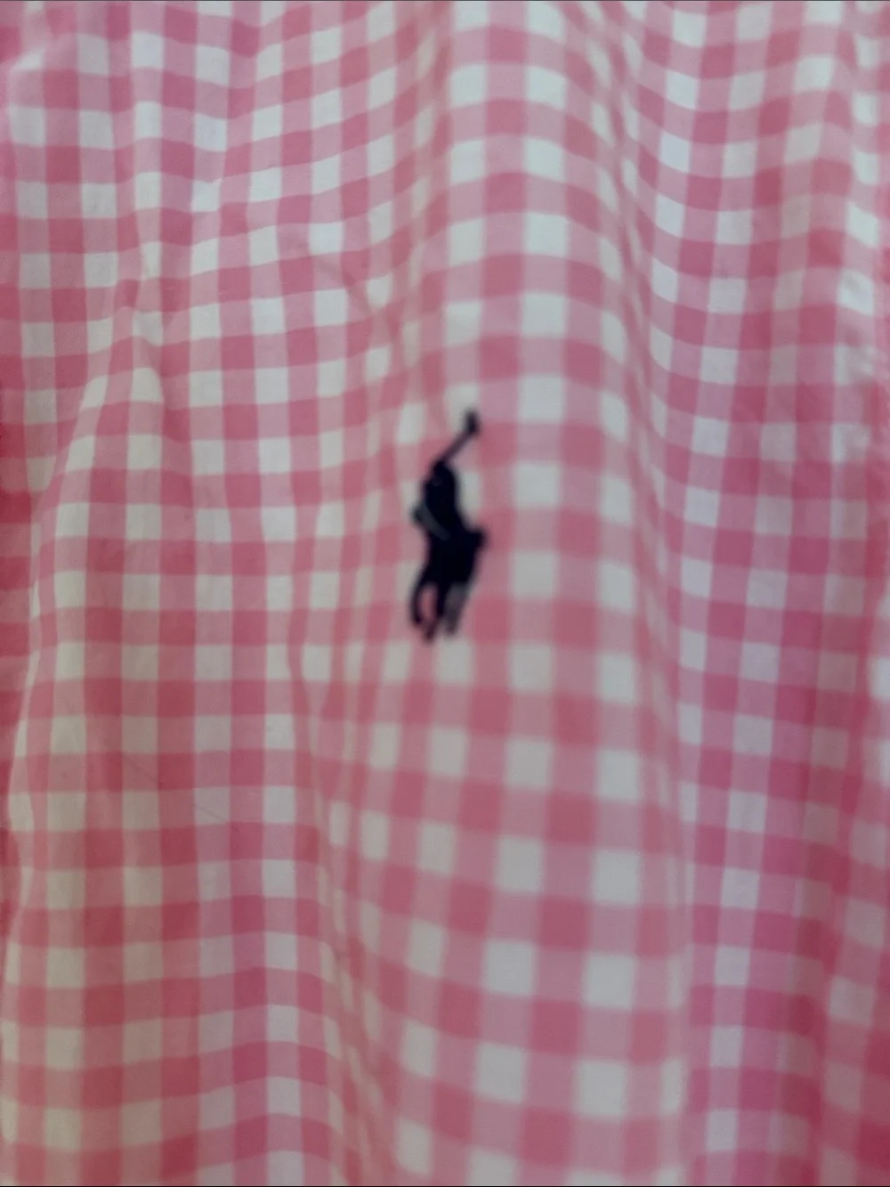 Ralph Lauren Pink Gingham Button-Down Shirt